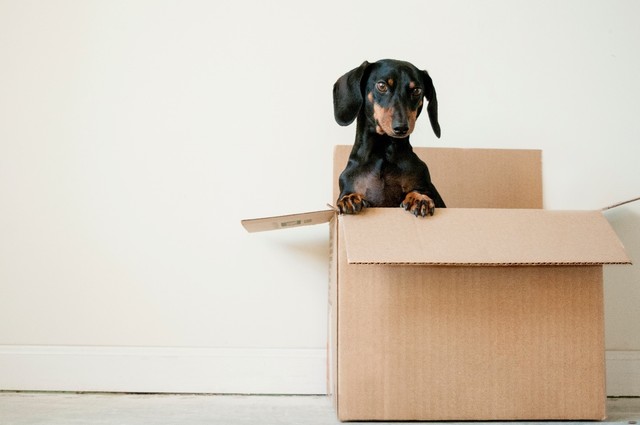 decluttering: scatoloni per eliminare ciò che ingombra
