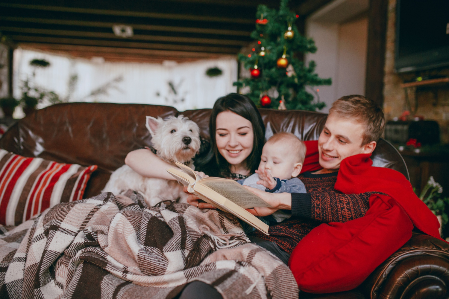 famiglia legge un libro di natale